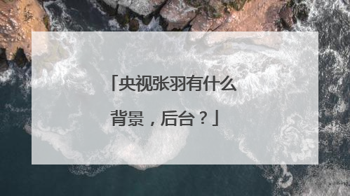 央视张羽有什么背景，后台？