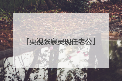 央视张泉灵现任老公