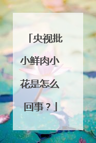 央视批小鲜肉小花是怎么回事?