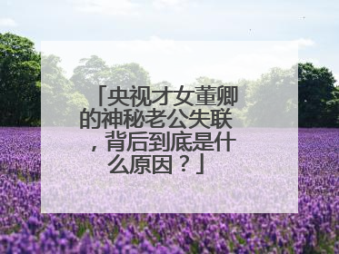 央视才女董卿的神秘老公失联,背后到底是什么原因?