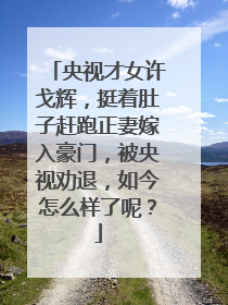 央视才女许戈辉，挺着肚子赶跑正妻嫁入豪门，被央视劝退，如今怎么样了呢？