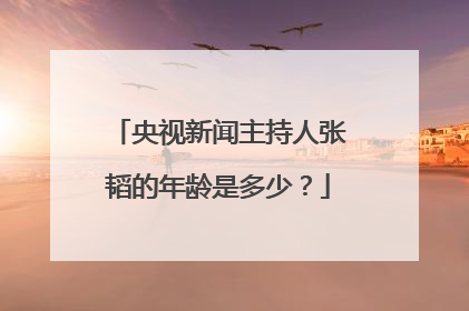 央视新闻主持人张韬的年龄是多少?