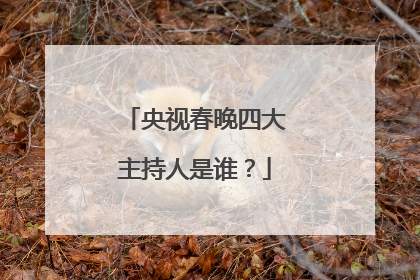 央视春晚四大主持人是谁?