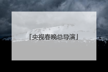 央视春晚总导演