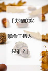 央视联欢晚会主持人是谁？