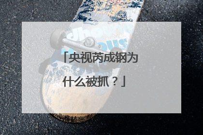 央视芮成钢为什么被抓?