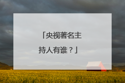央视著名主持人有谁?
