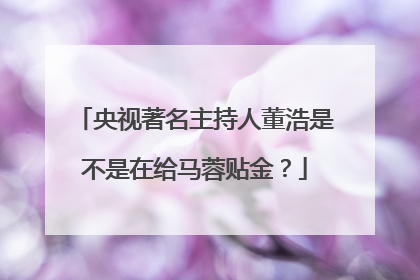 央视著名主持人董浩是不是在给马蓉贴金？