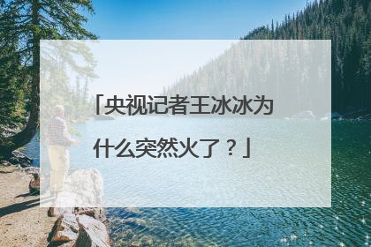 央视记者王冰冰为什么突然火了?