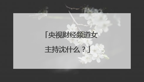 央视财经频道女主持沈什么？