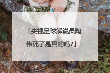 央视足球解说员陶伟死了是真的吗?