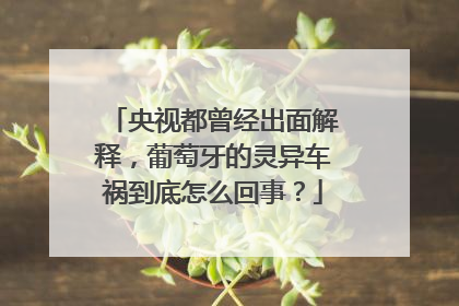 央视都曾经出面解释，葡萄牙的灵异车祸到底怎么回事？