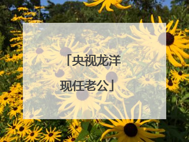 央视龙洋现任老公