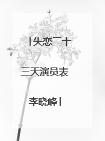 失恋三十三天演员表李晓峰