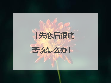 失恋后很痛苦该怎么办