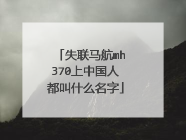 失联马航mh370上中国人都叫什么名字