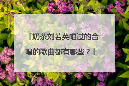 奶茶刘若英唱过的合唱的歌曲都有哪些？