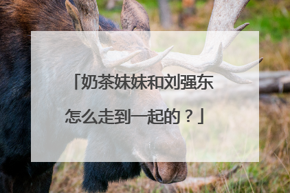 奶茶妹妹和刘强东怎么走到一起的?