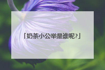 奶茶小公举是谁呢?