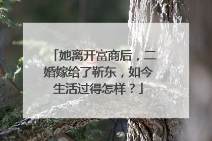 她离开富商后，二婚嫁给了靳东，如今生活过得怎样？