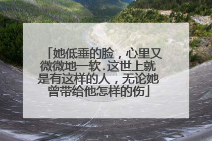 她低垂的脸，心里又微微地一软.这世上就是有这样的人，无论她曾带给他怎样的伤