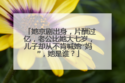 她京剧出身,片酬过亿,老公比她大七岁,儿子却从不肯喊她“妈”,她是谁?