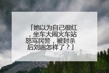 她以为自己很红,坐车大闹火车站怒骂民警,被封杀后刘露怎样了?