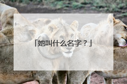 她叫什么名字?