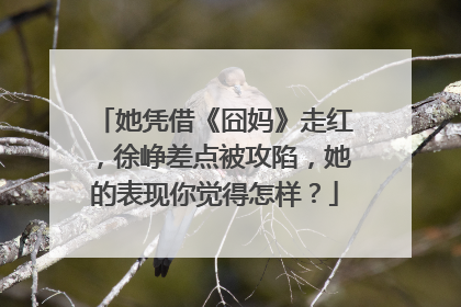 她凭借《囧妈》走红，徐峥差点被攻陷，她的表现你觉得怎样？
