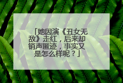 她因演《丑女无敌》走红,后来却销声匿迹,事实又是怎么样呢?