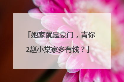 她家就是豪门，青你2赵小棠家多有钱？