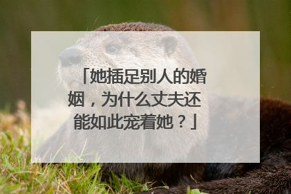 她插足别人的婚姻，为什么丈夫还能如此宠着她？