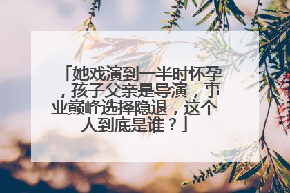 她戏演到一半时怀孕，孩子父亲是导演，事业巅峰选择隐退，这个人到底是谁？