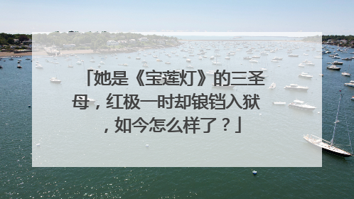 她是《宝莲灯》的三圣母,红极一时却锒铛入狱,如今怎么样了?