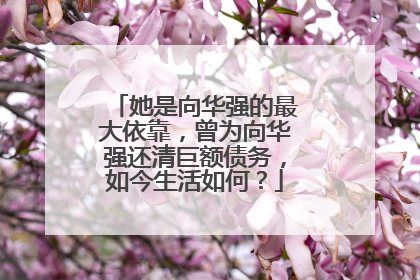 她是向华强的最大依靠，曾为向华强还清巨额债务，如今生活如何？