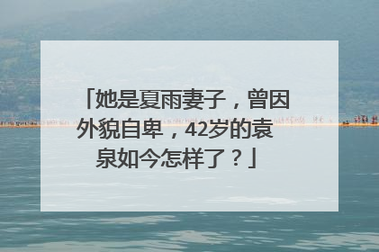 她是夏雨妻子，曾因外貌自卑，42岁的袁泉如今怎样了？