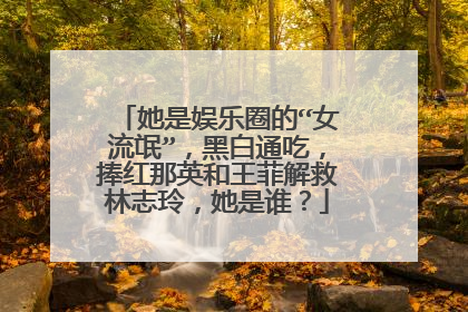 她是娱乐圈的“女流氓”，黑白通吃，捧红那英和王菲解救林志玲，她是谁？