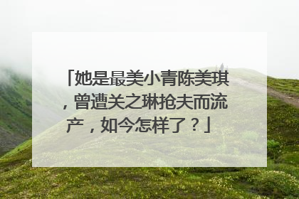 她是最美小青陈美琪，曾遭关之琳抢夫而流产，如今怎样了？