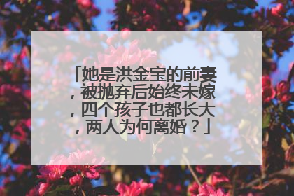 她是洪金宝的前妻,被抛弃后始终未嫁,四个孩子也都长大,两人为何离婚?