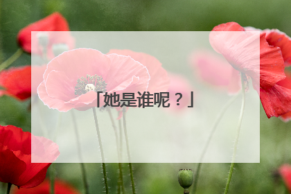 她是谁呢？
