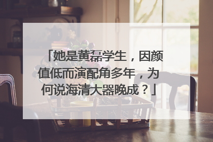 她是黄磊学生，因颜值低而演配角多年，为何说海清大器晚成？