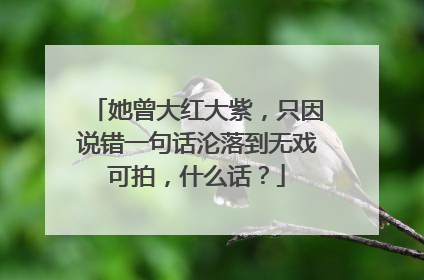 她曾大红大紫，只因说错一句话沦落到无戏可拍，什么话？