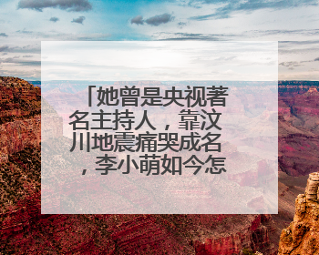 她曾是央视著名主持人，靠汶川地震痛哭成名，李小萌如今怎么样了？