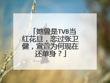 她曾是TVB当红花旦，恋过张卫健，宣萱为何现在还单身？