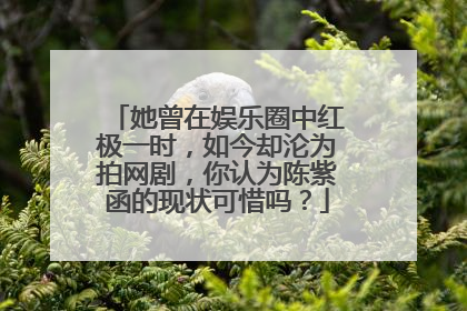 她曾在娱乐圈中红极一时，如今却沦为拍网剧，你认为陈紫函的现状可惜吗？