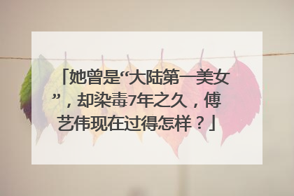 她曾是“大陆第一美女”,却染毒7年之久,傅艺伟现在过得怎样?