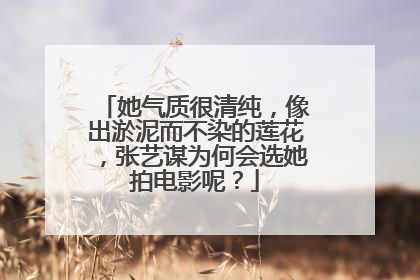 她气质很清纯,像出淤泥而不染的莲花,张艺谋为何会选她拍电影呢?