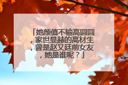 她颜值不输高圆圆，家世显赫的高材生，曾是赵又廷前女友，她是谁呢？