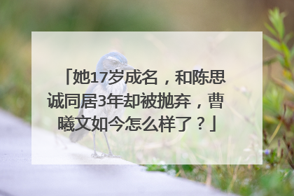 她17岁成名，和陈思诚同居3年却被抛弃，曹曦文如今怎么样了？