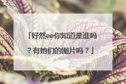 好然ee你知道是谁吗?有她们的图片吗?